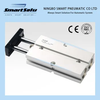 Silinder Pneumatik Aci Berganda TN