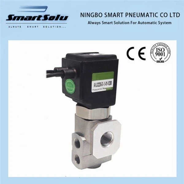 Injap Solenoid Juruterbang Keluli Tahan Karat Aluminium